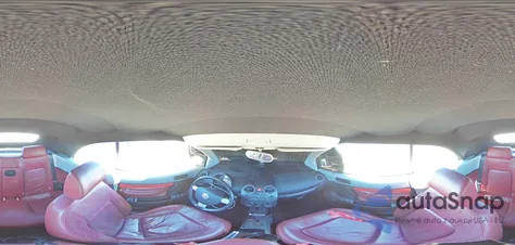 2009 Volkswagen New Beetle Blush Edition z USA, uszkodzony, nr VIN 3VWSG31Y59M411248